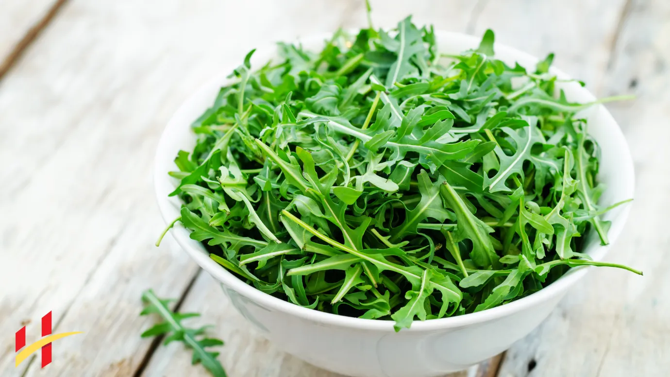 Arugula Health Benefits