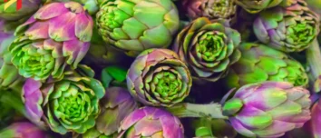 Health Benefits of Artichokes