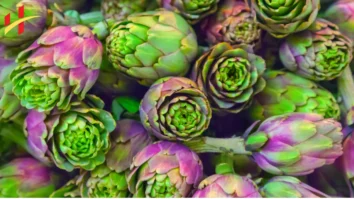 Health Benefits of Artichokes