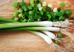 Health Benefits of Green Onions