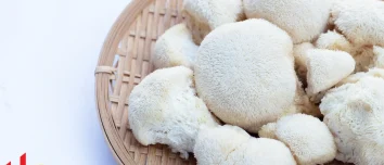 Health Benefits of Lion's Mane