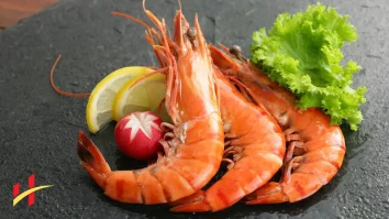 Health Benefits of Shrimp